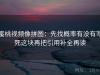 蜜桃视频像拼图：先找概率有没有写死这块再把引用补全再读