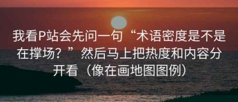 我看P站会先问一句“术语密度是不是在撑场？”然后马上把热度和内容分开看（像在画地图图例）
