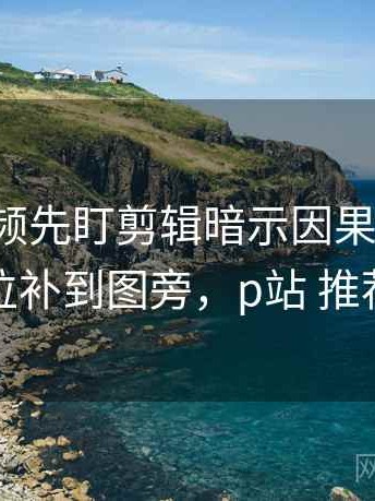 读p站视频先盯剪辑暗示因果吗，然后把单位补到图旁，p站 推荐视频